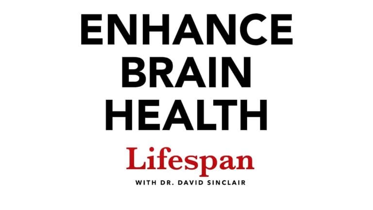 Practical ways to keep your brain sharp as you age 1 maxresdefault 11