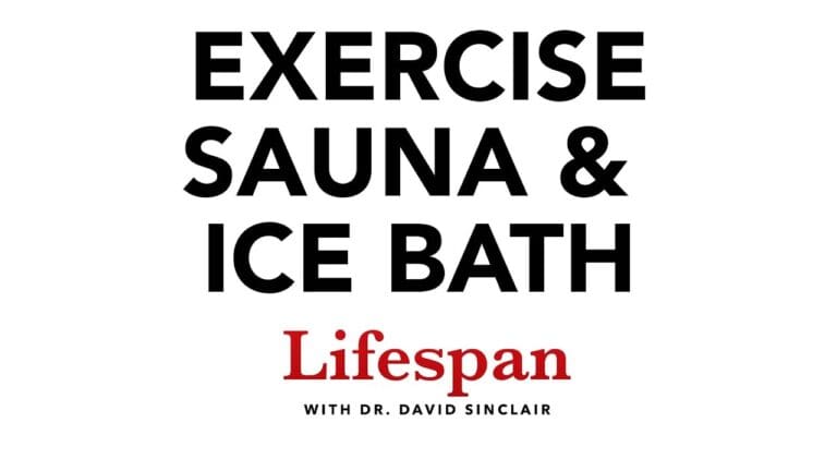 How exercise, sauna, and cold exposure may slow aging 2 maxresdefault 15