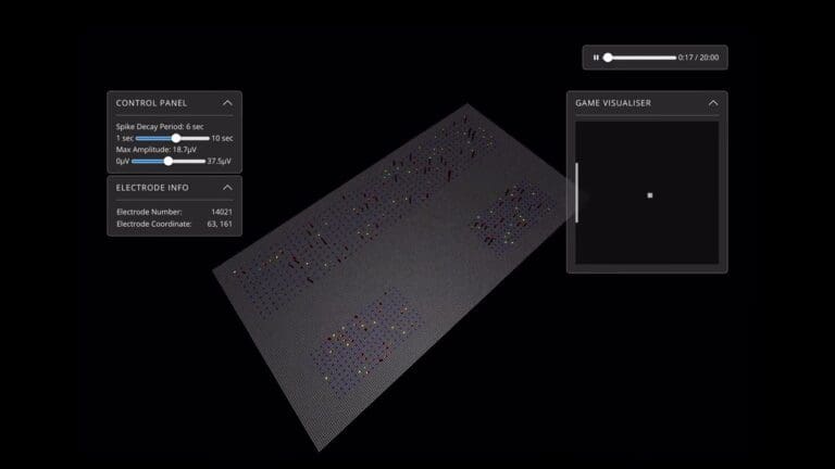 Human brain cell bio-computers now available for rent spark ethical debate 1 maxresdefault 25
